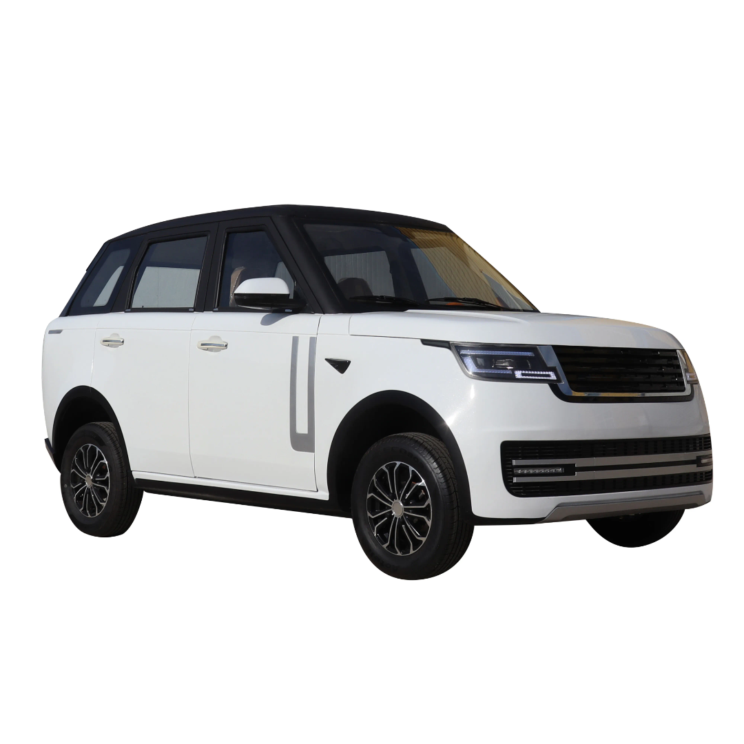 4 Seats Mini Electric Car