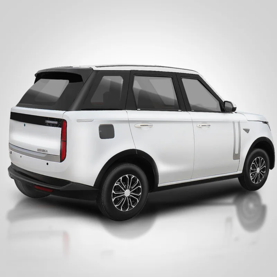 4 Seats Mini Electric Car