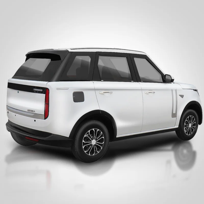 4 Seats Mini Electric Car