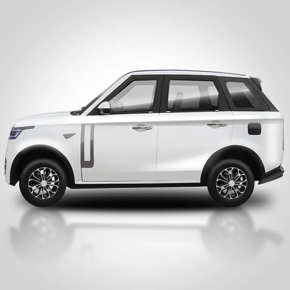 4 Seats Mini Electric Car