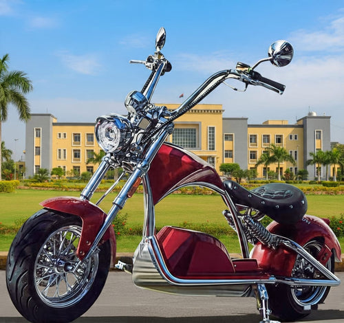 2 Wheel EEC Electric Motorcycle