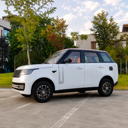 4 Seats Mini Electric Car